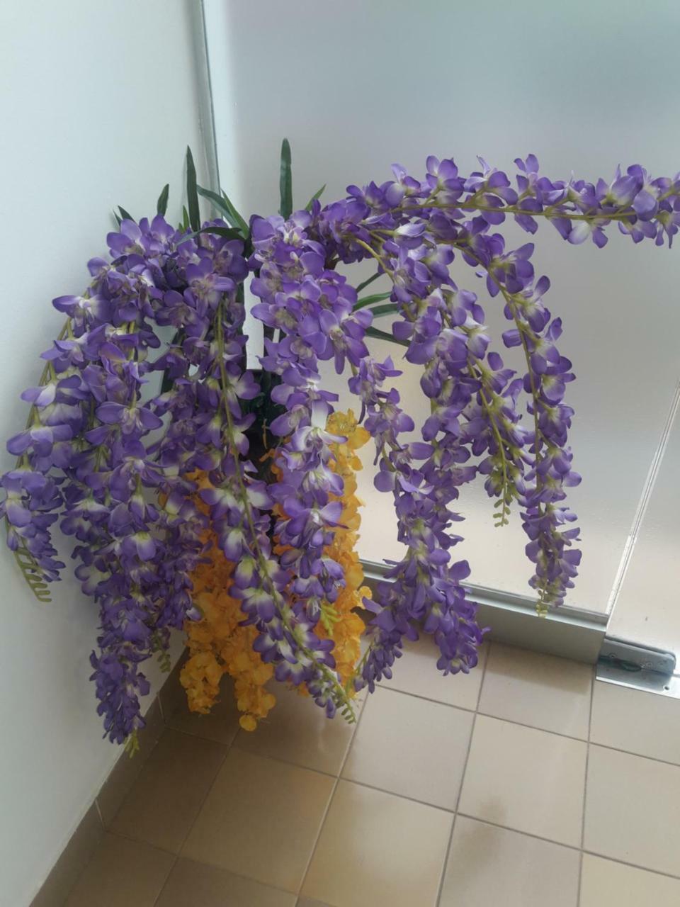 אסונסיון Hotel Casa Jardin מראה חיצוני תמונה